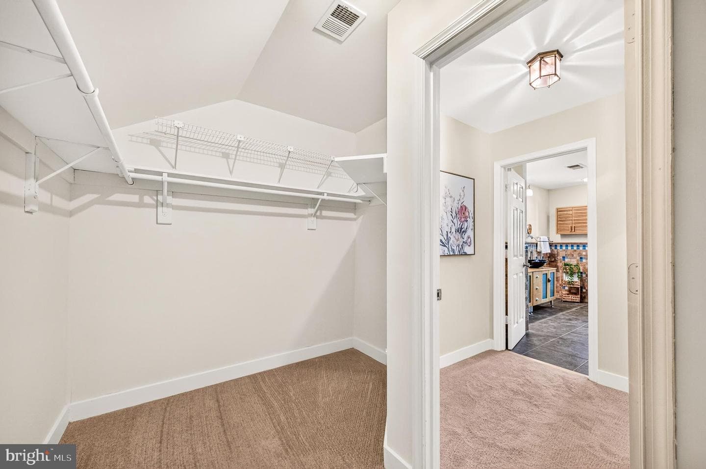 10202 Daylily Court photo 38