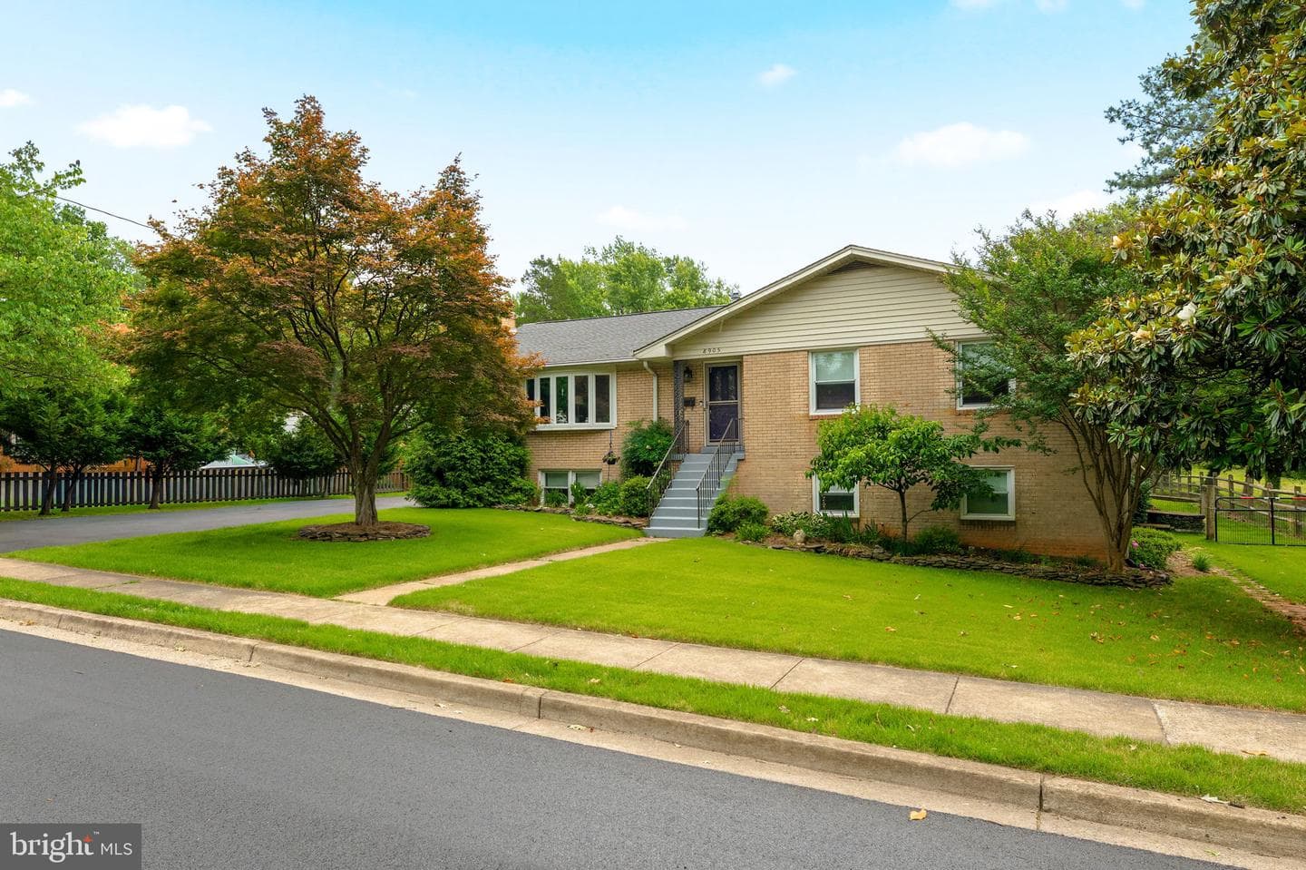 8905 Hazel Drive photo 3