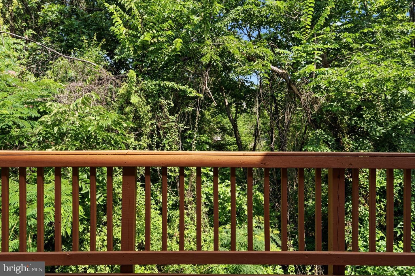 9504 Ninebark Court photo 24