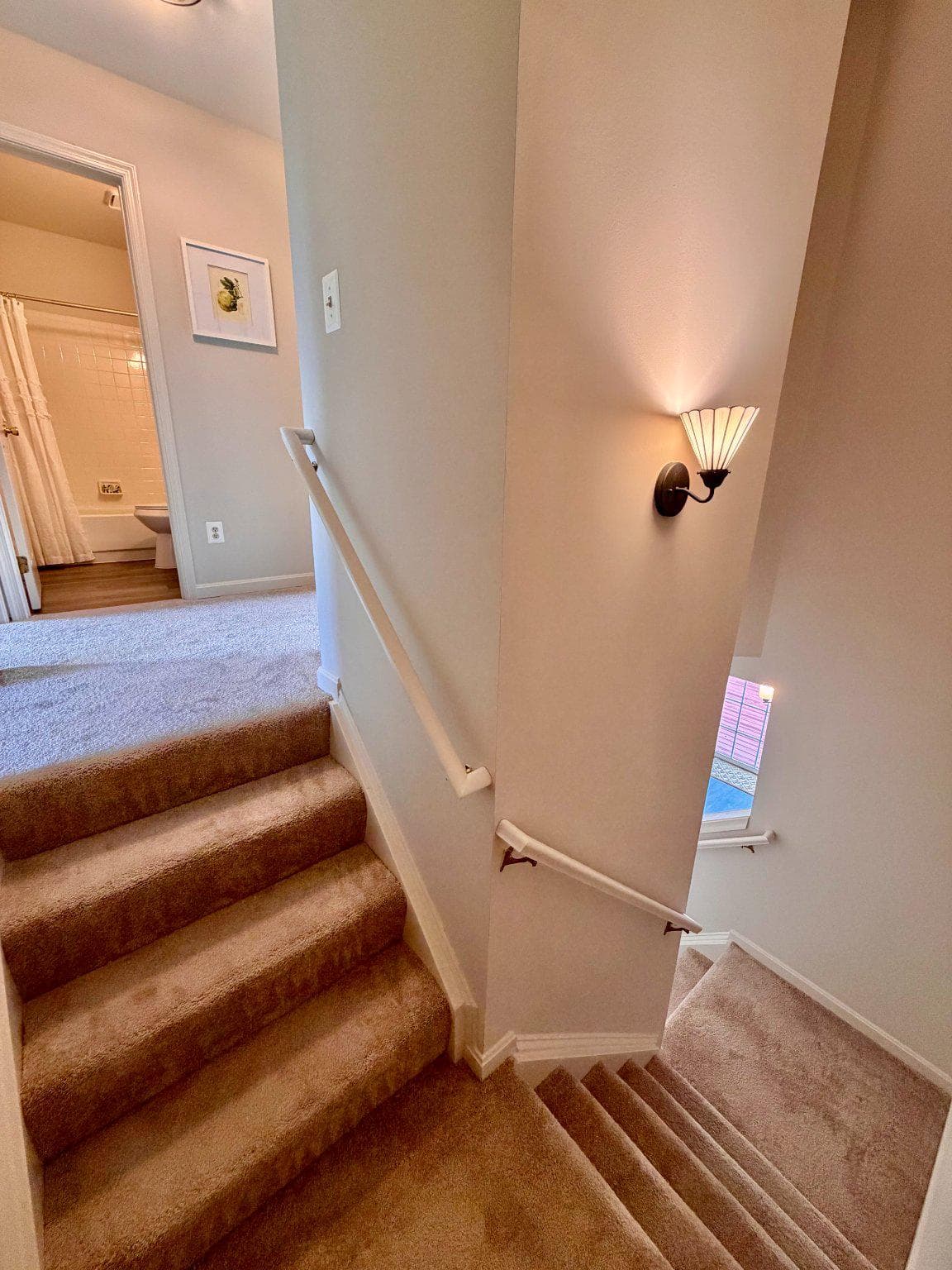 10245 Calypso Drive photo 11