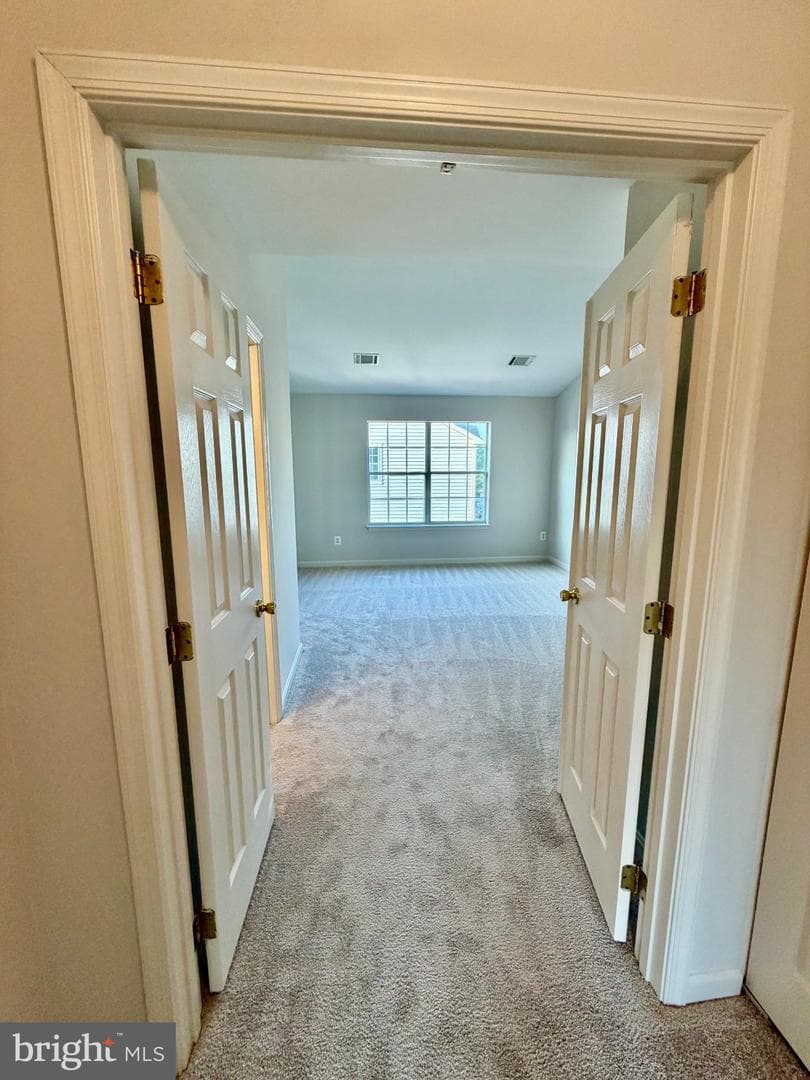 10245 Calypso Drive photo 12