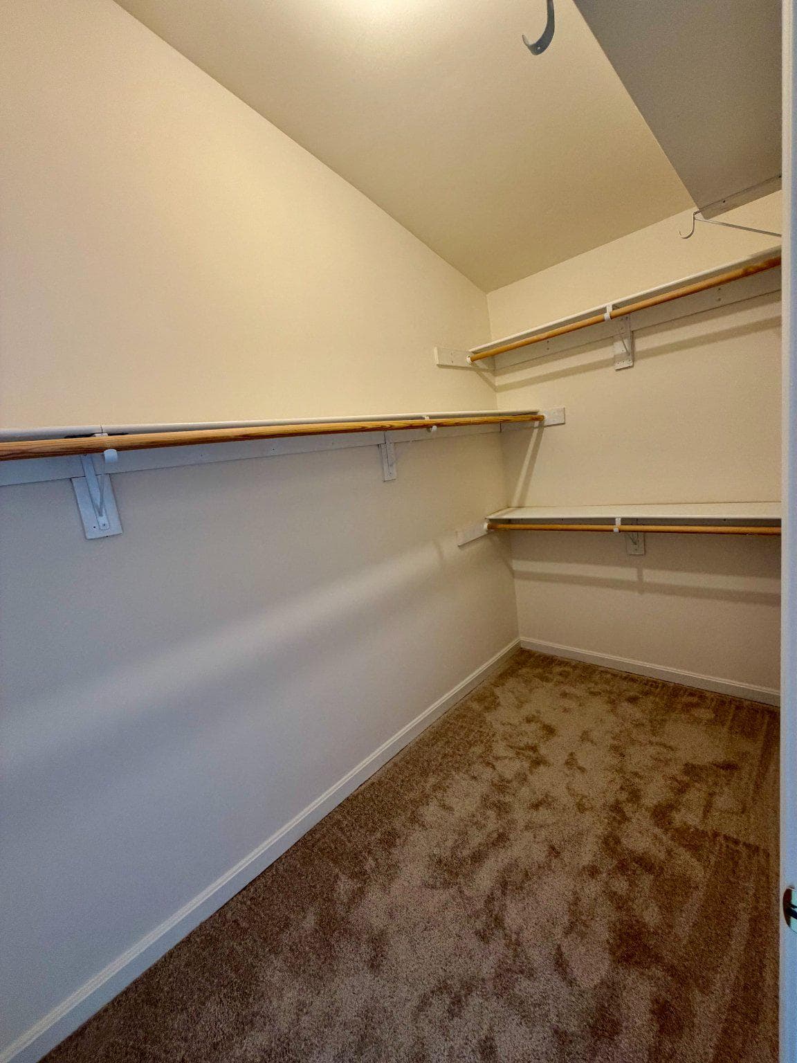 10245 Calypso Drive photo 19