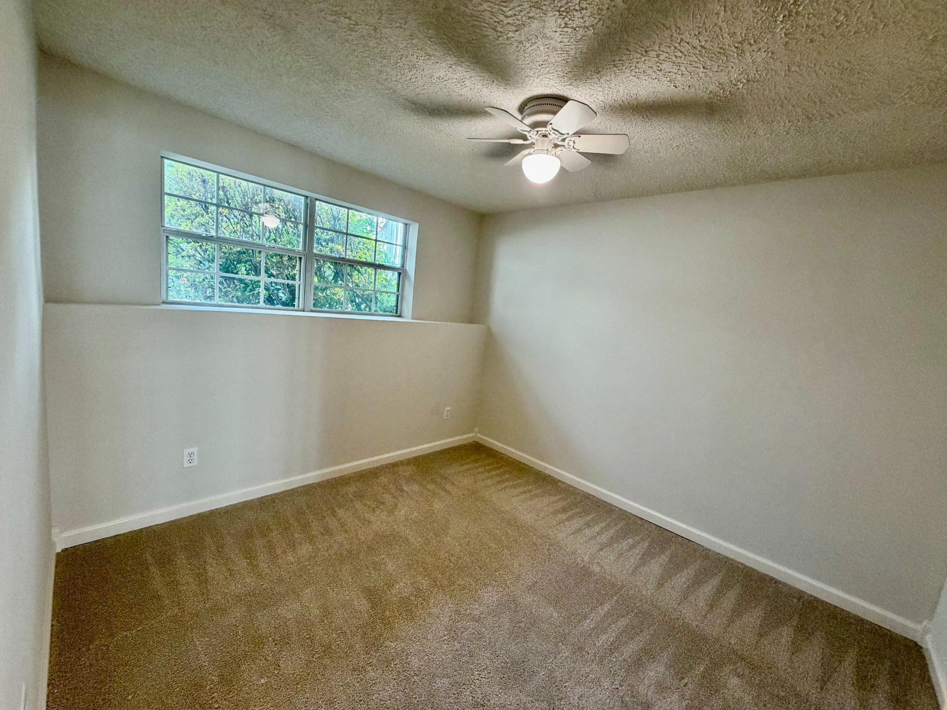 10245 Calypso Drive photo 25