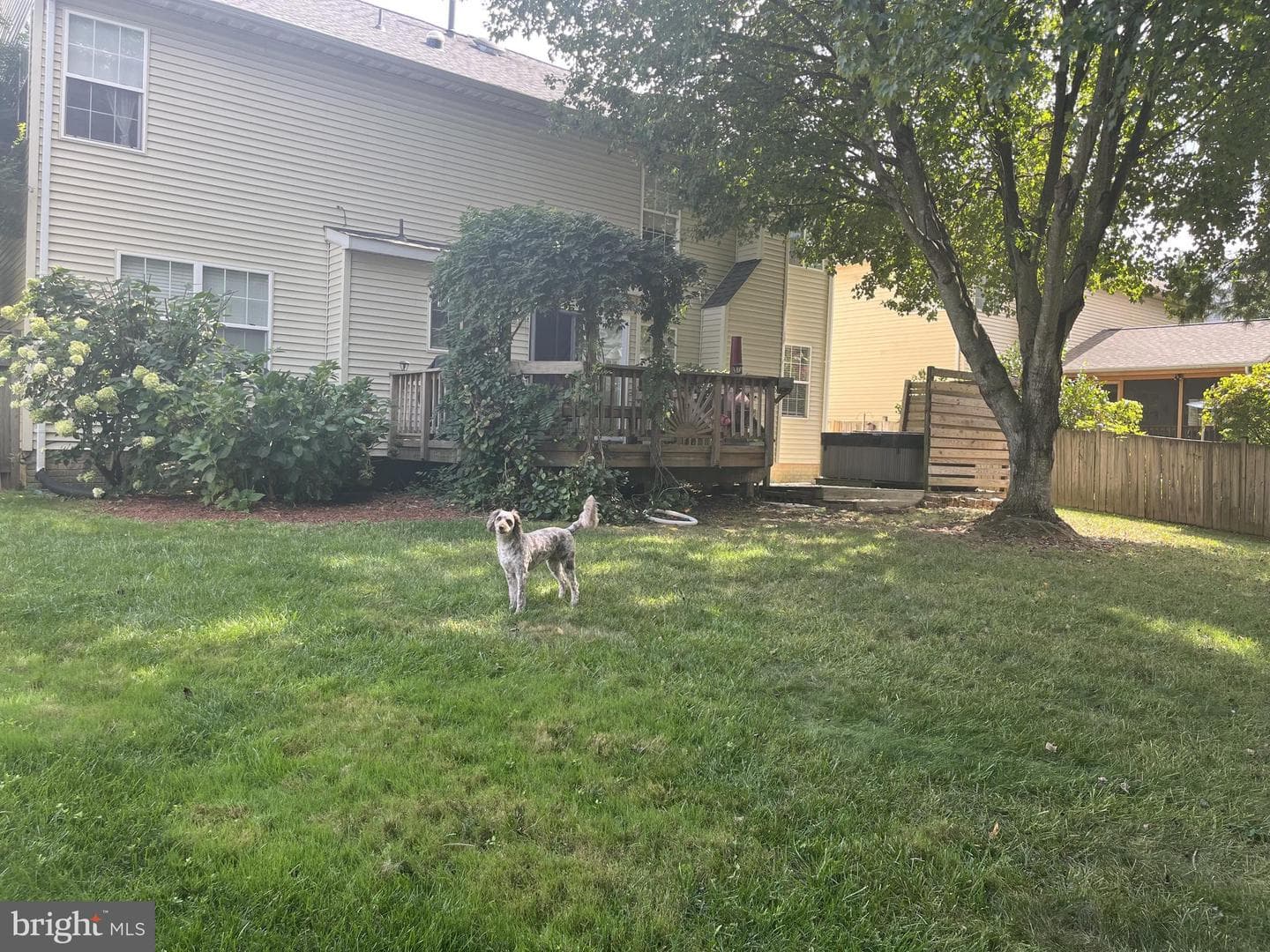 9305 Steve Street photo 26