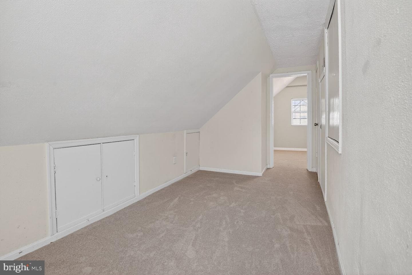 134 Evans Street photo 17