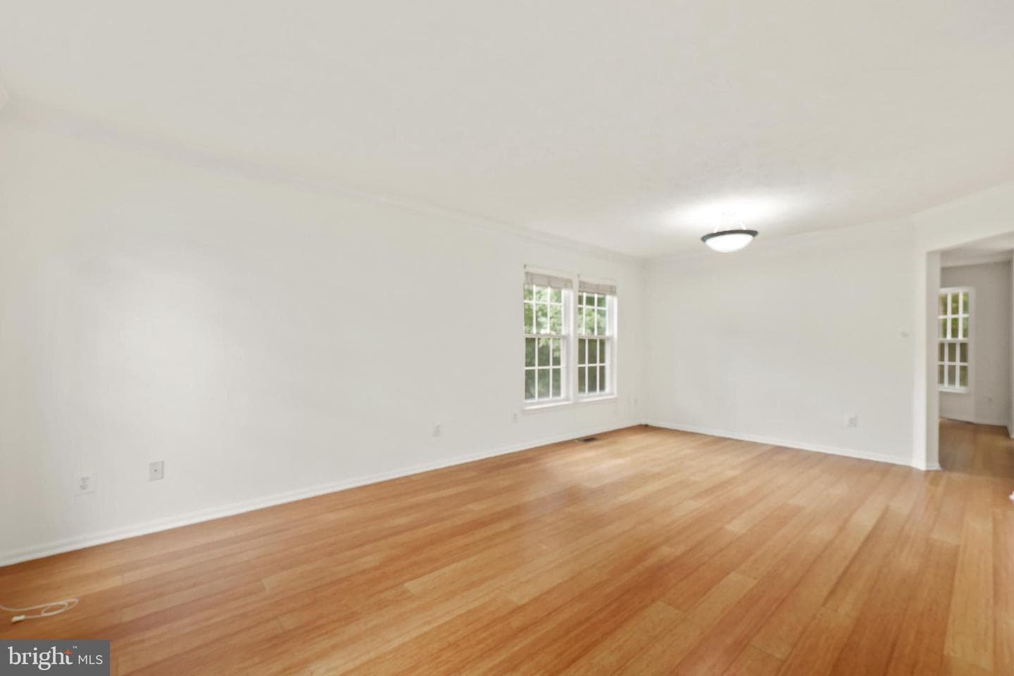 9242 Matthew Drive photo 3