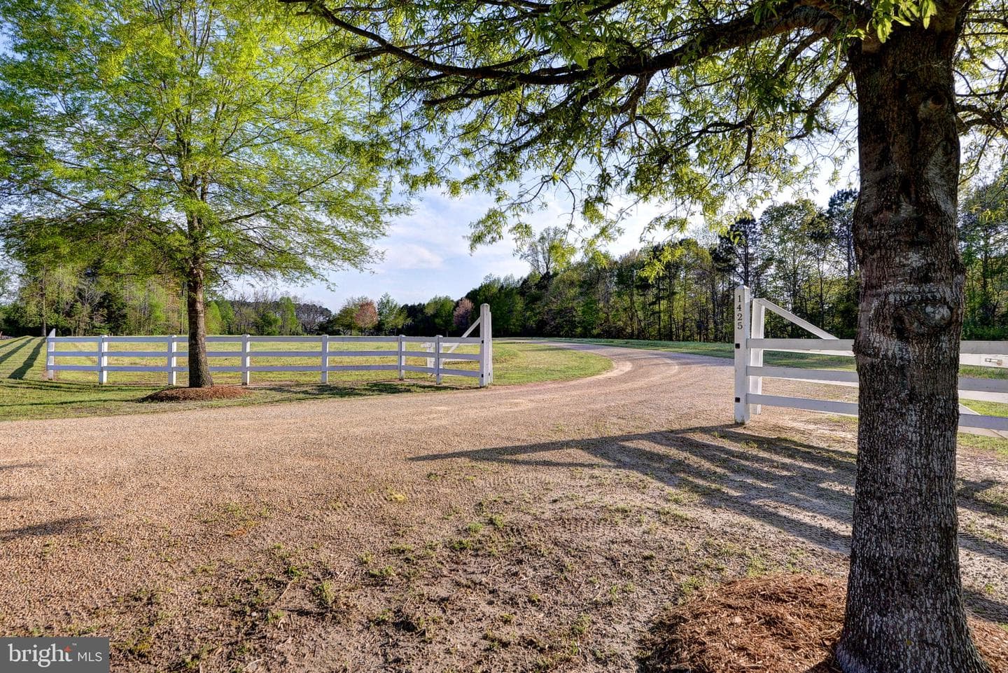 1425 Twiggs Ferry Road photo 12