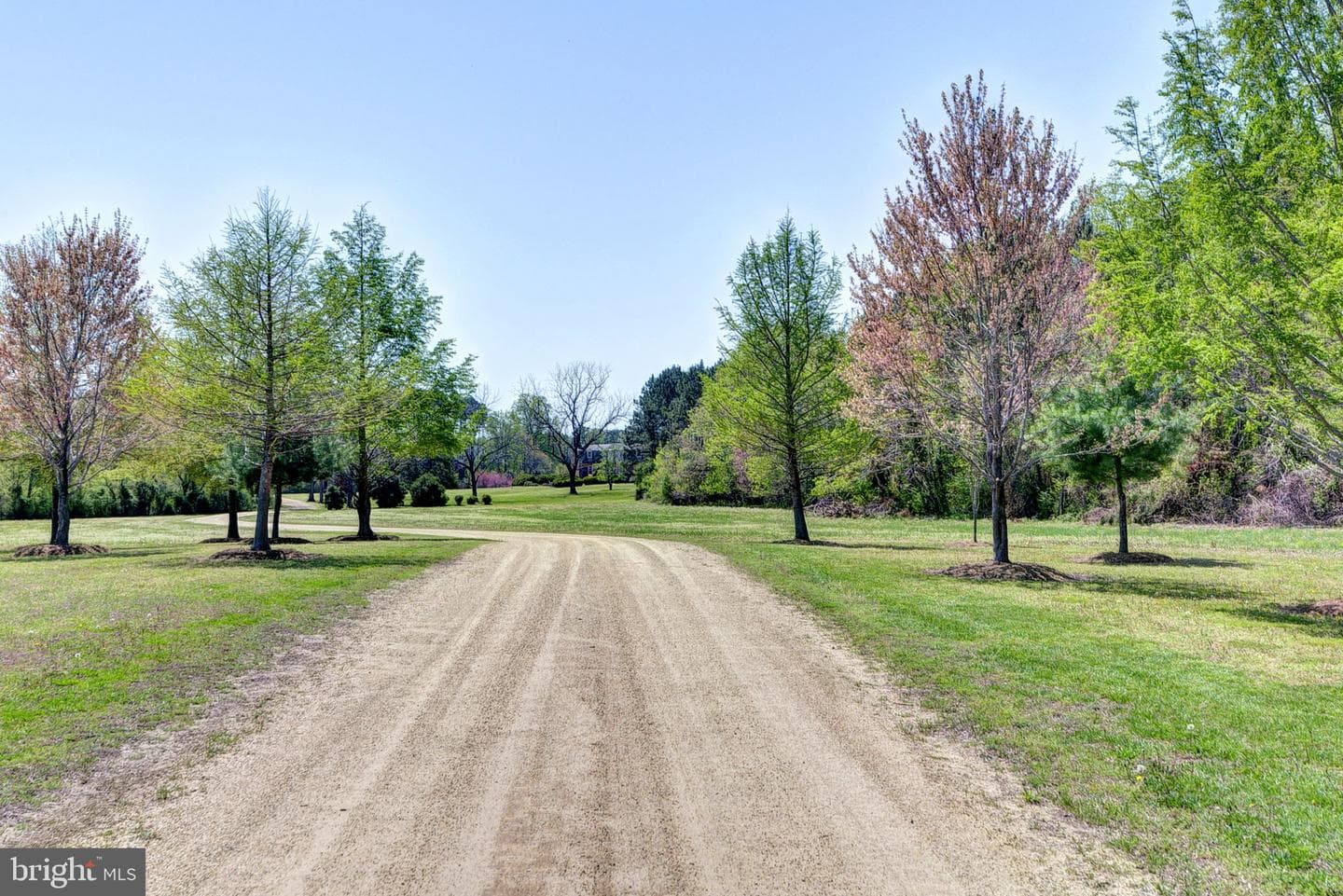 1425 Twiggs Ferry Road photo 14