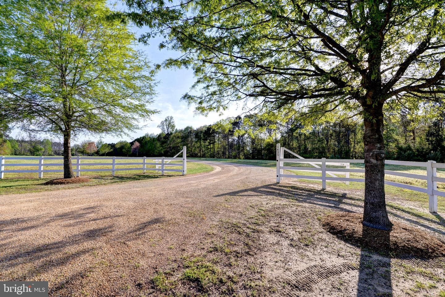 1425 Twiggs Ferry Road photo 143