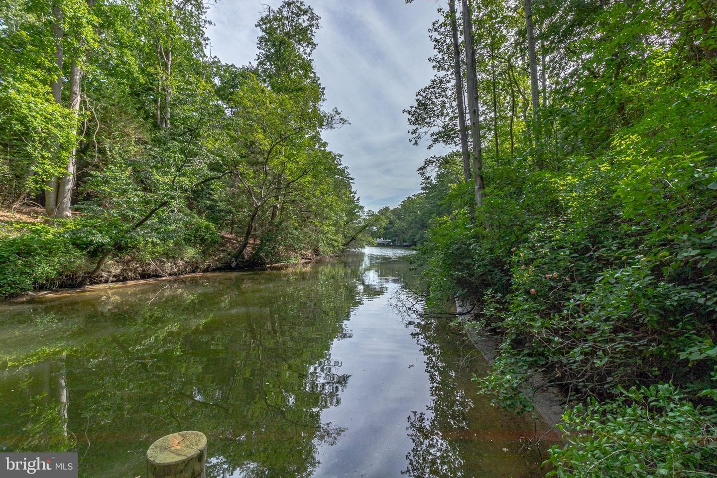 98 Mallard Drive photo 22
