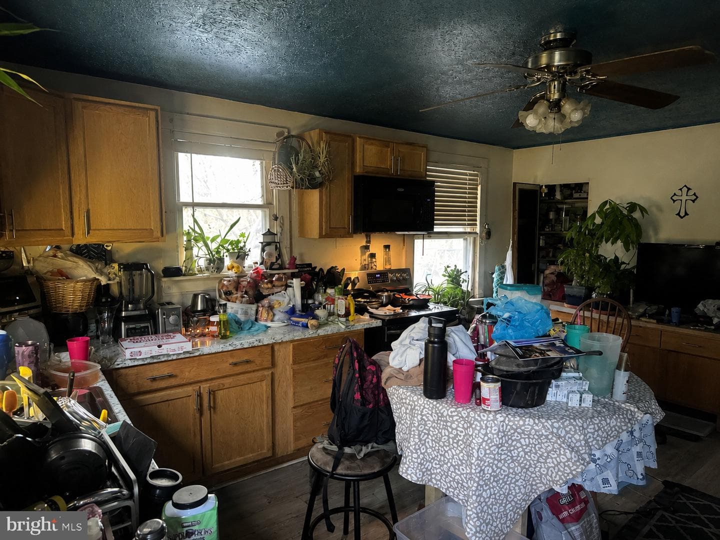 1059 Regent Rd photo 5
