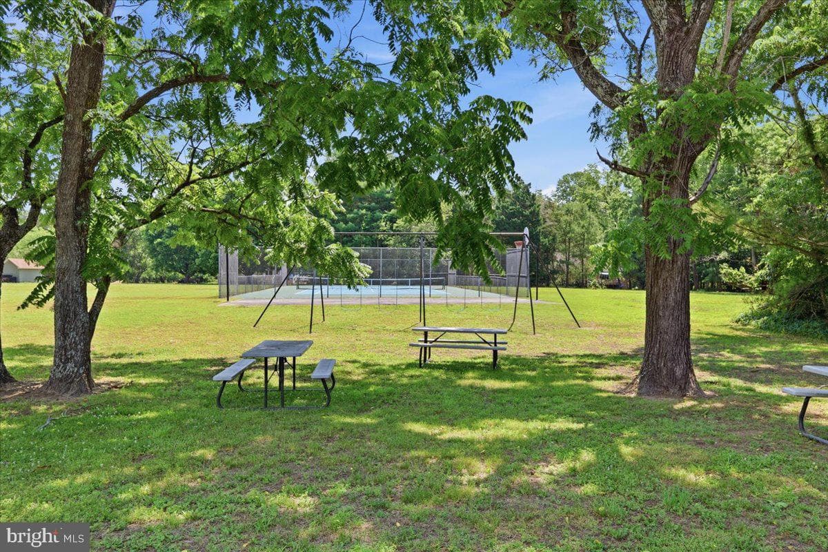 230 Chick Cove Drive photo 23