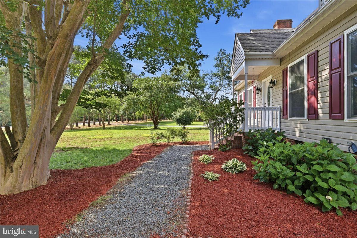 230 Chick Cove Drive photo 4