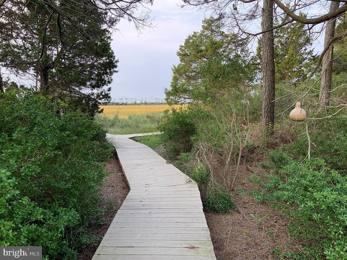 5374 Ramp Lane (Tract Holly Bluff & Racoon Island) photo 33