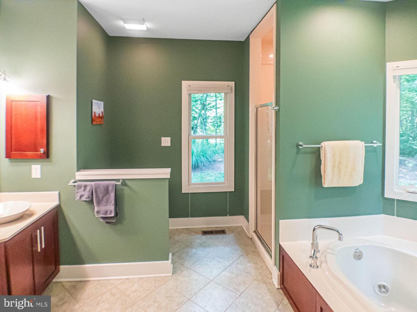 32 Towhee Court photo 36