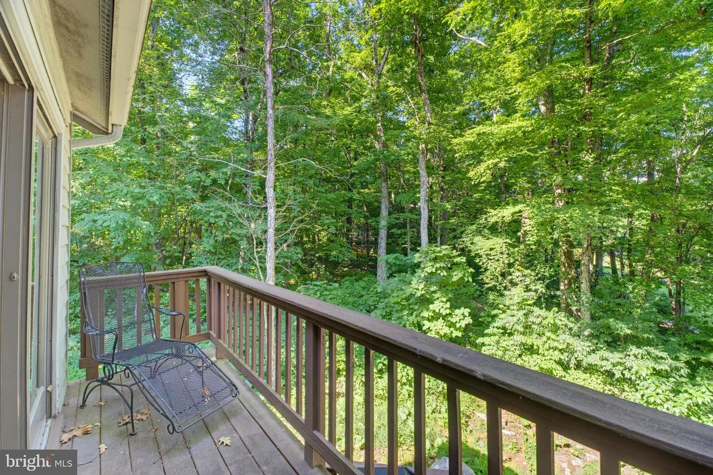 52 Deer Springs Lane photo 21