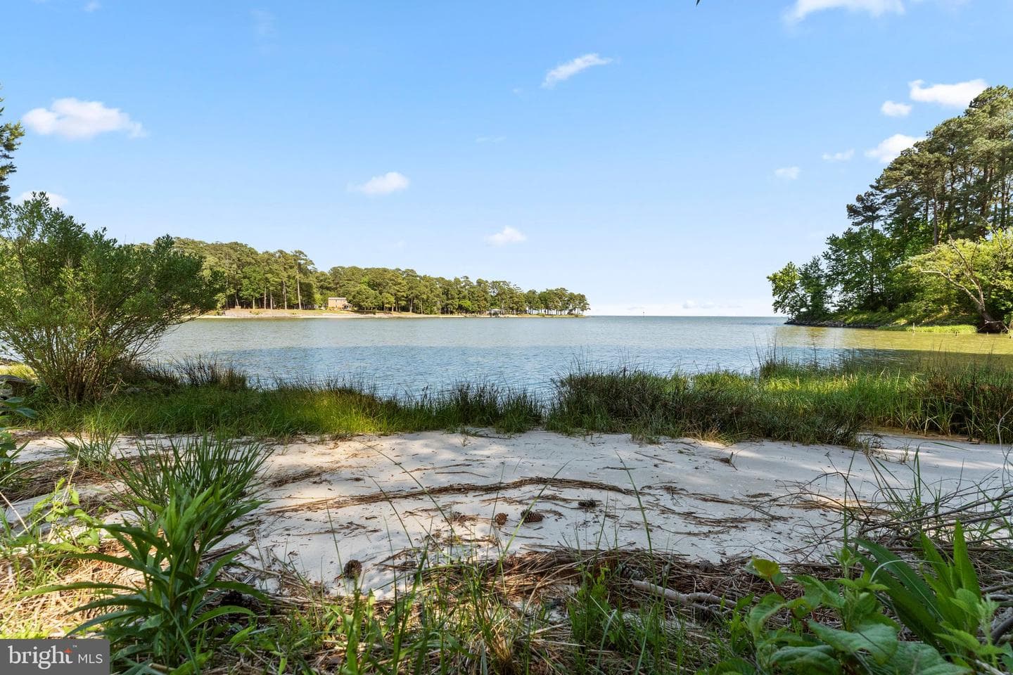 415 Hopedale Farm Road photo 36