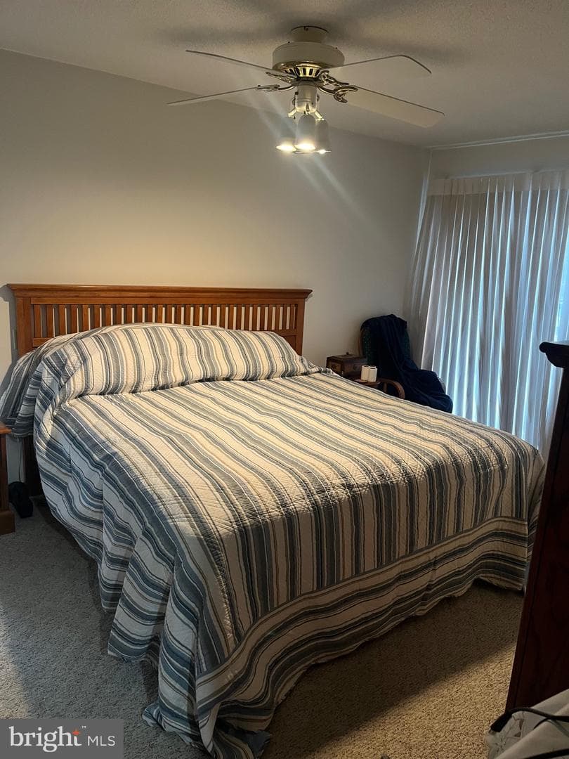 650 Skipjack Drive photo 19