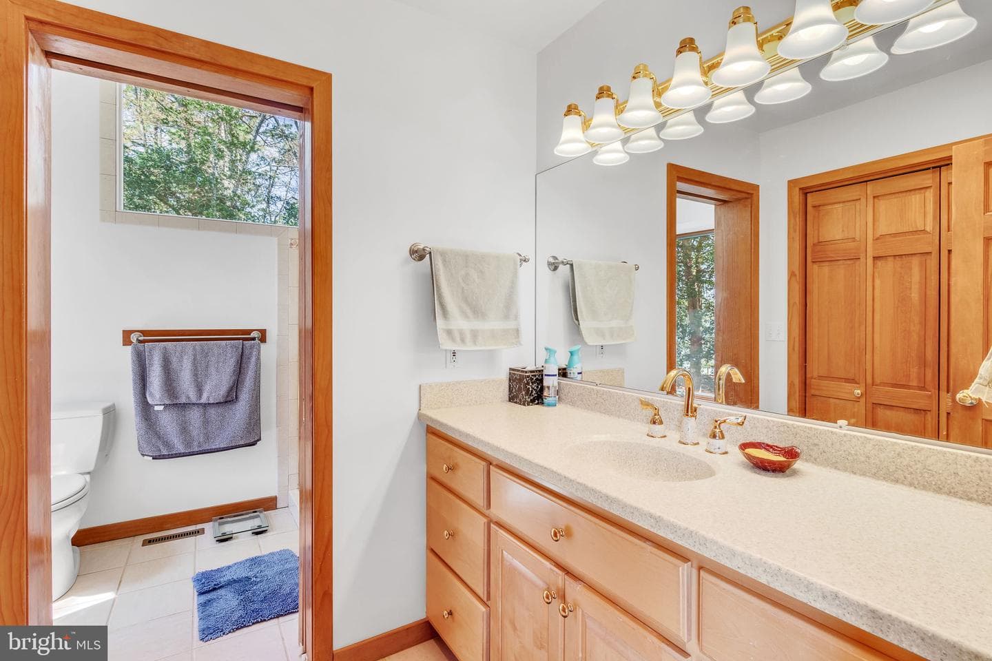 28 E Harmony Circle photo 29