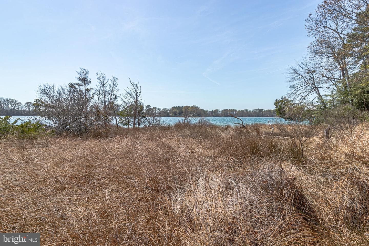 28 E Harmony Circle photo 77