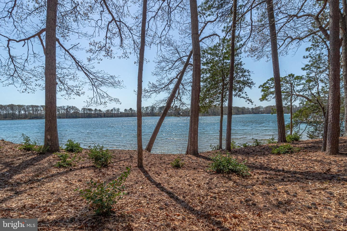 28 E Harmony Circle photo 81
