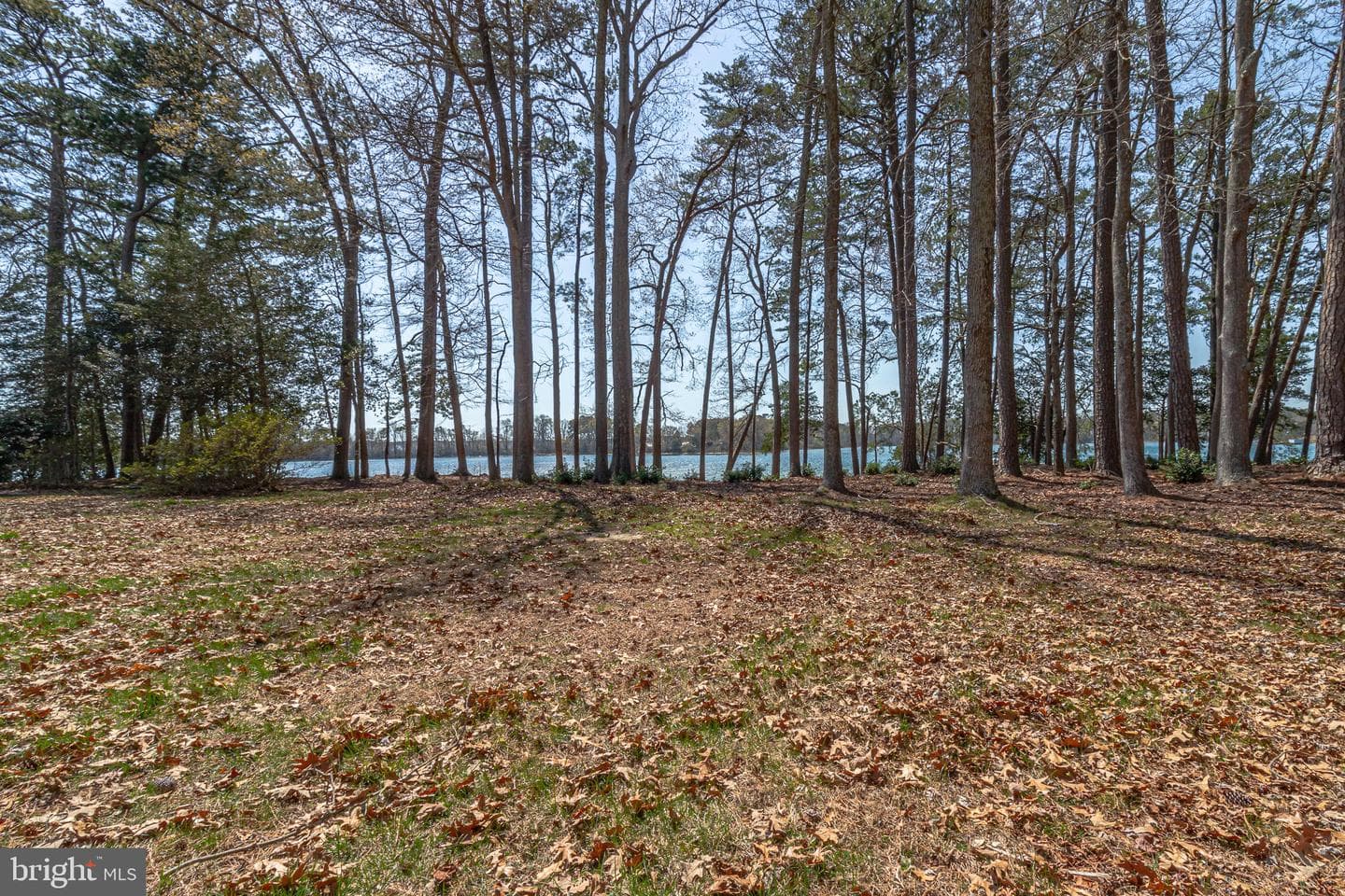 28 E Harmony Circle photo 82