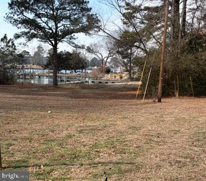 305 Colieville Lane photo 52