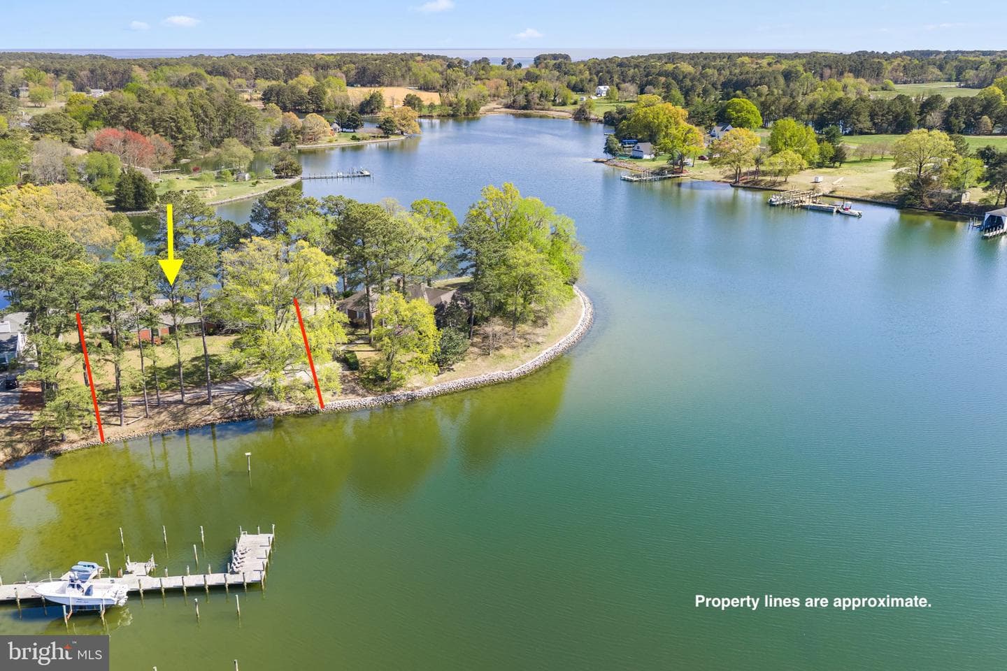 137 Pine Dr photo 3