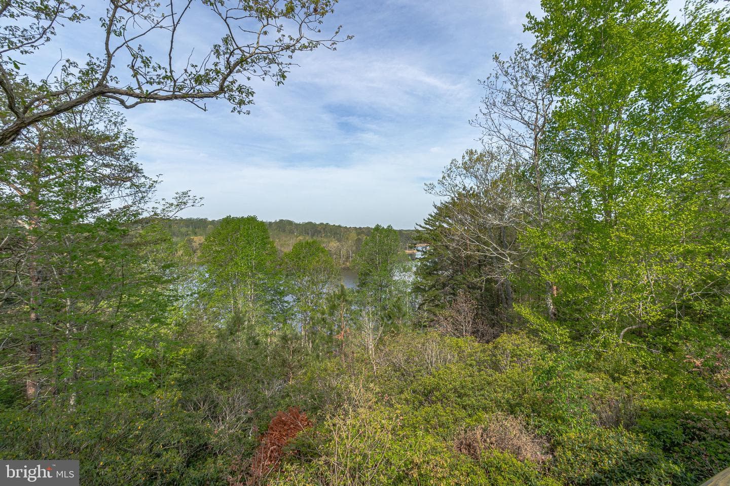 76 Pintail Court photo 82