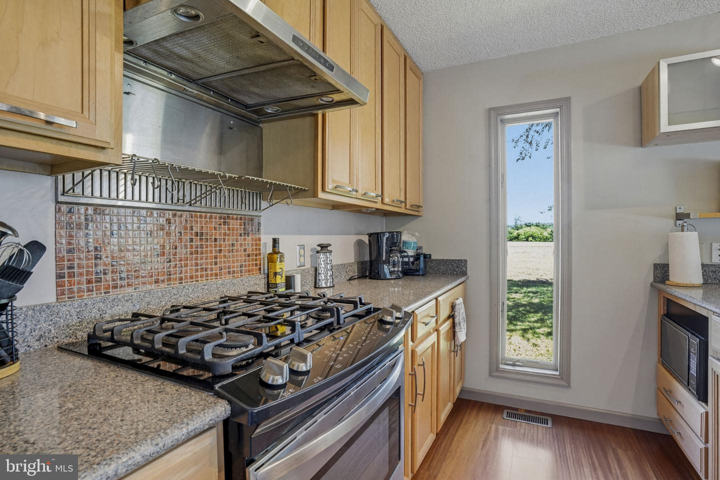 1015 Glebe View Lane photo 15