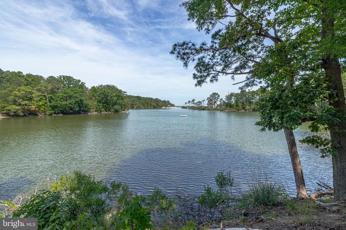 355 River View Road photo 59