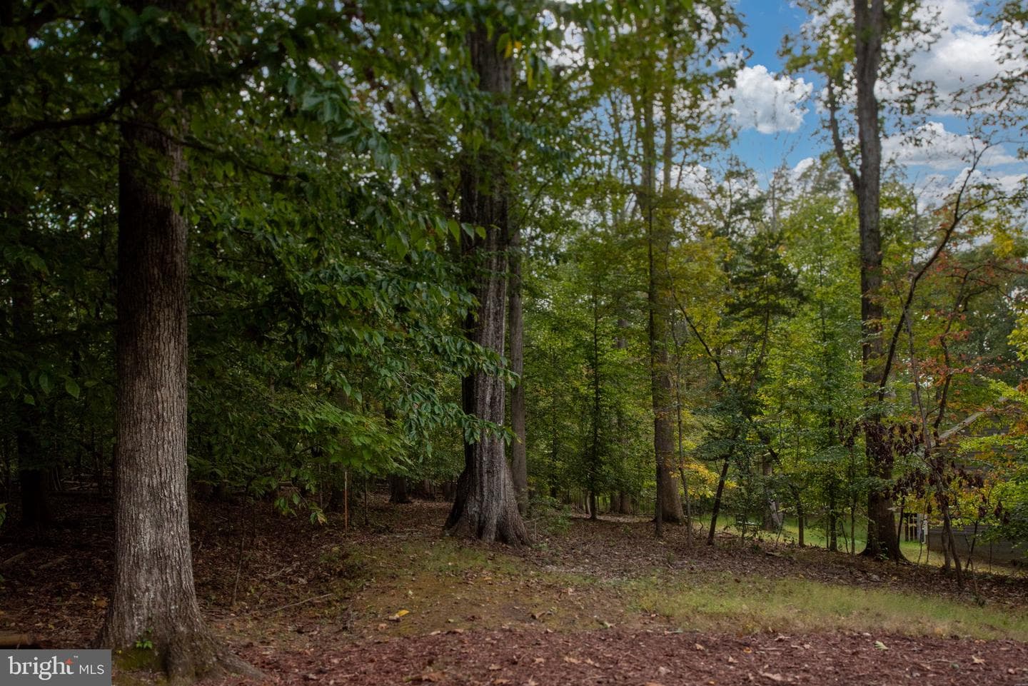 209 Edgemont Lane photo 40