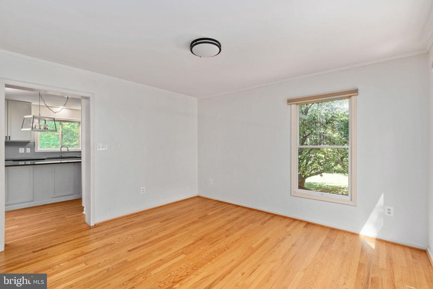 19312 Briar Patch Drive photo 9