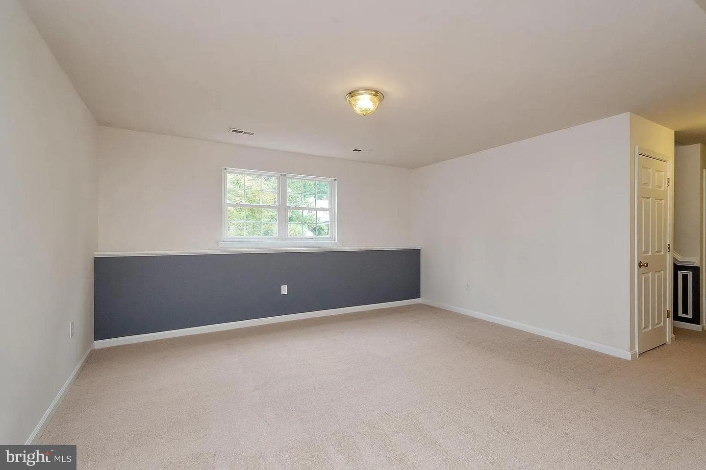 309 Liberty photo 7