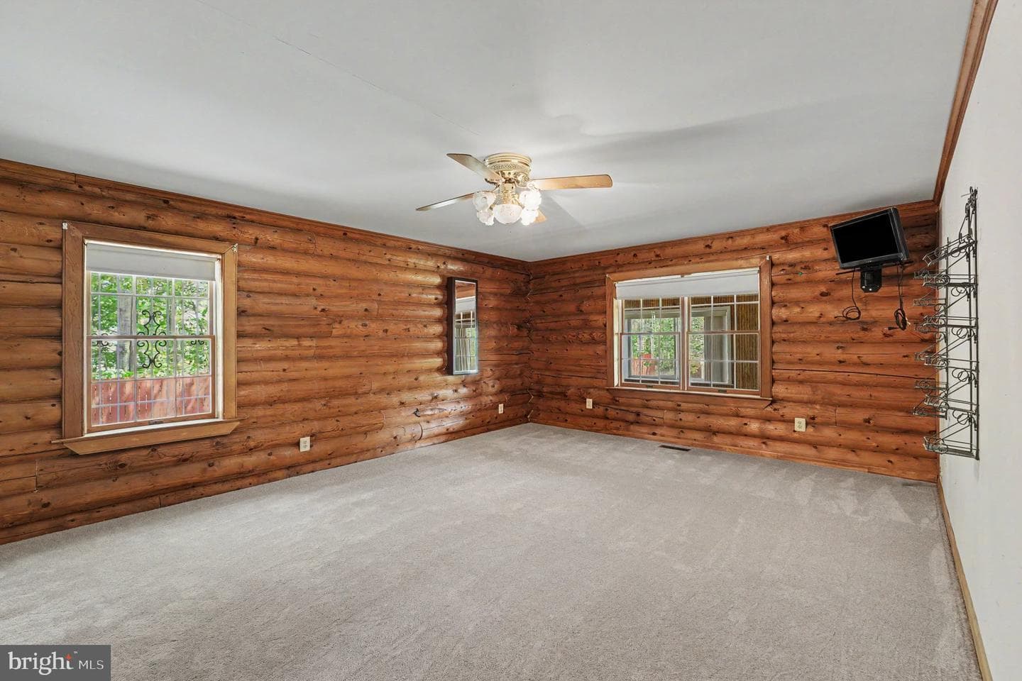 3856 Rapidan Hills Drive photo 12