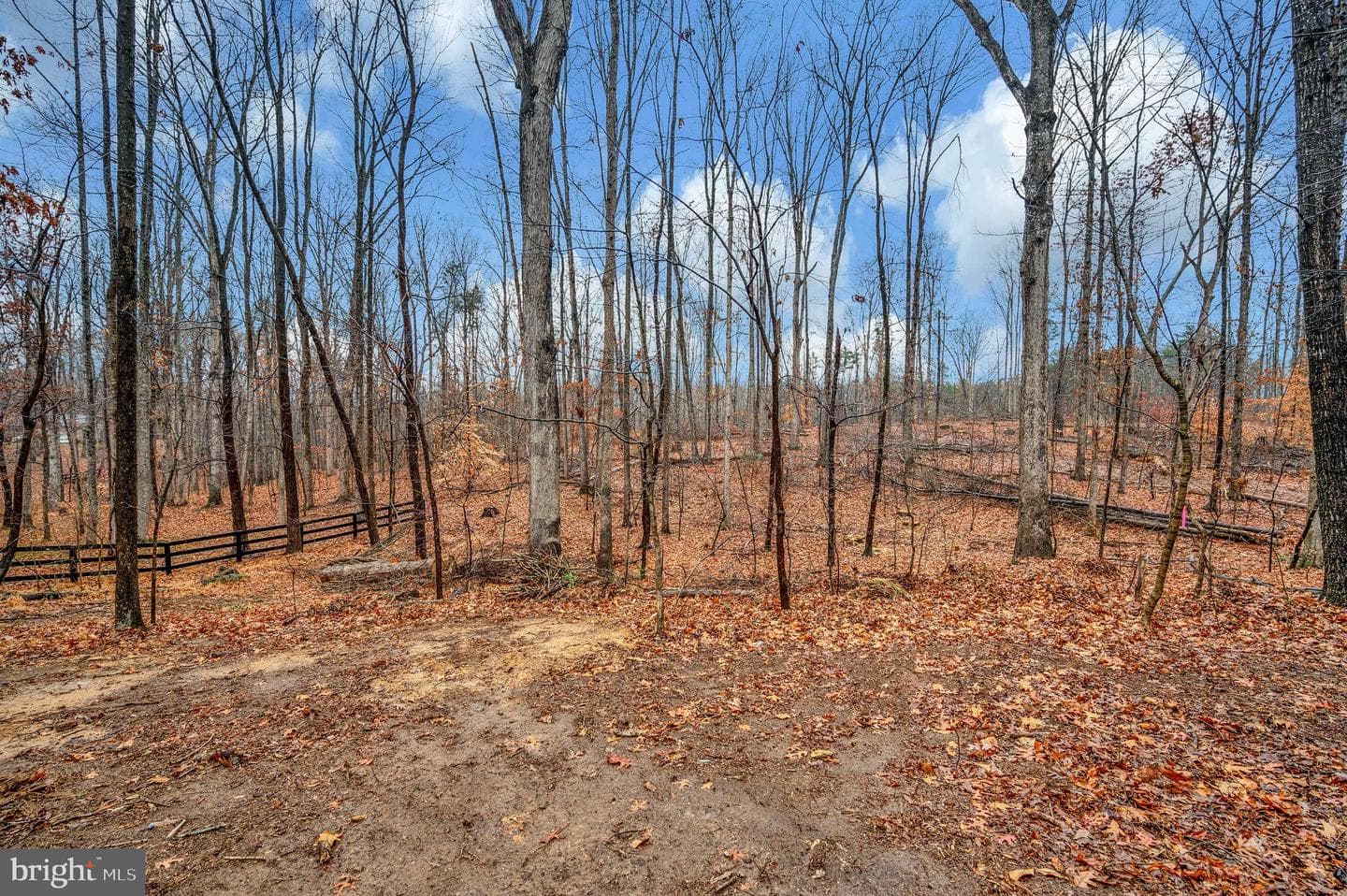 12687 Cox Mill Road photo 7