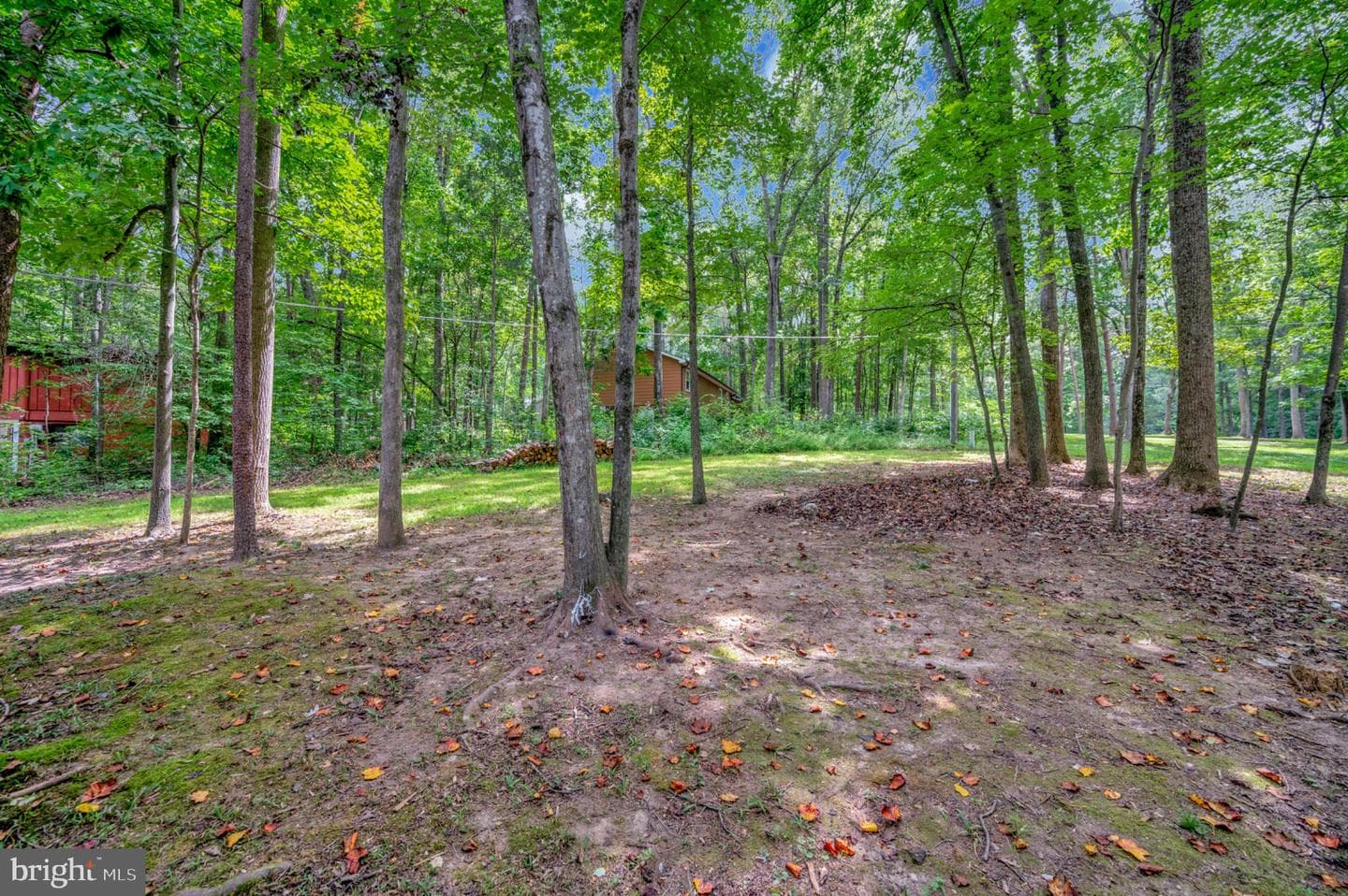 206 Stratford Circle photo 18