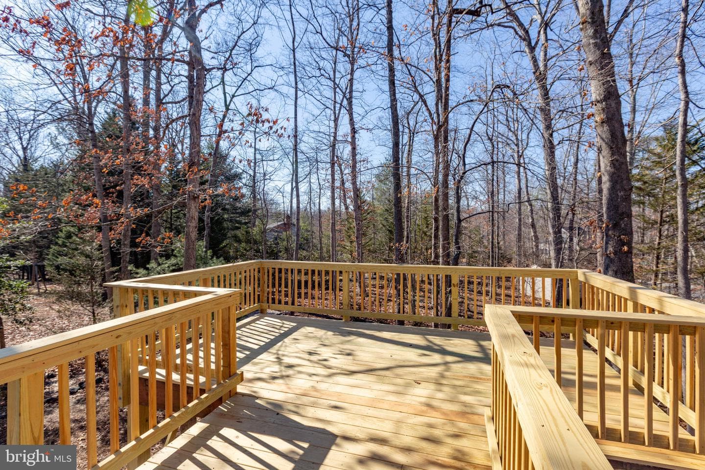 104 Monticello Circle photo 21