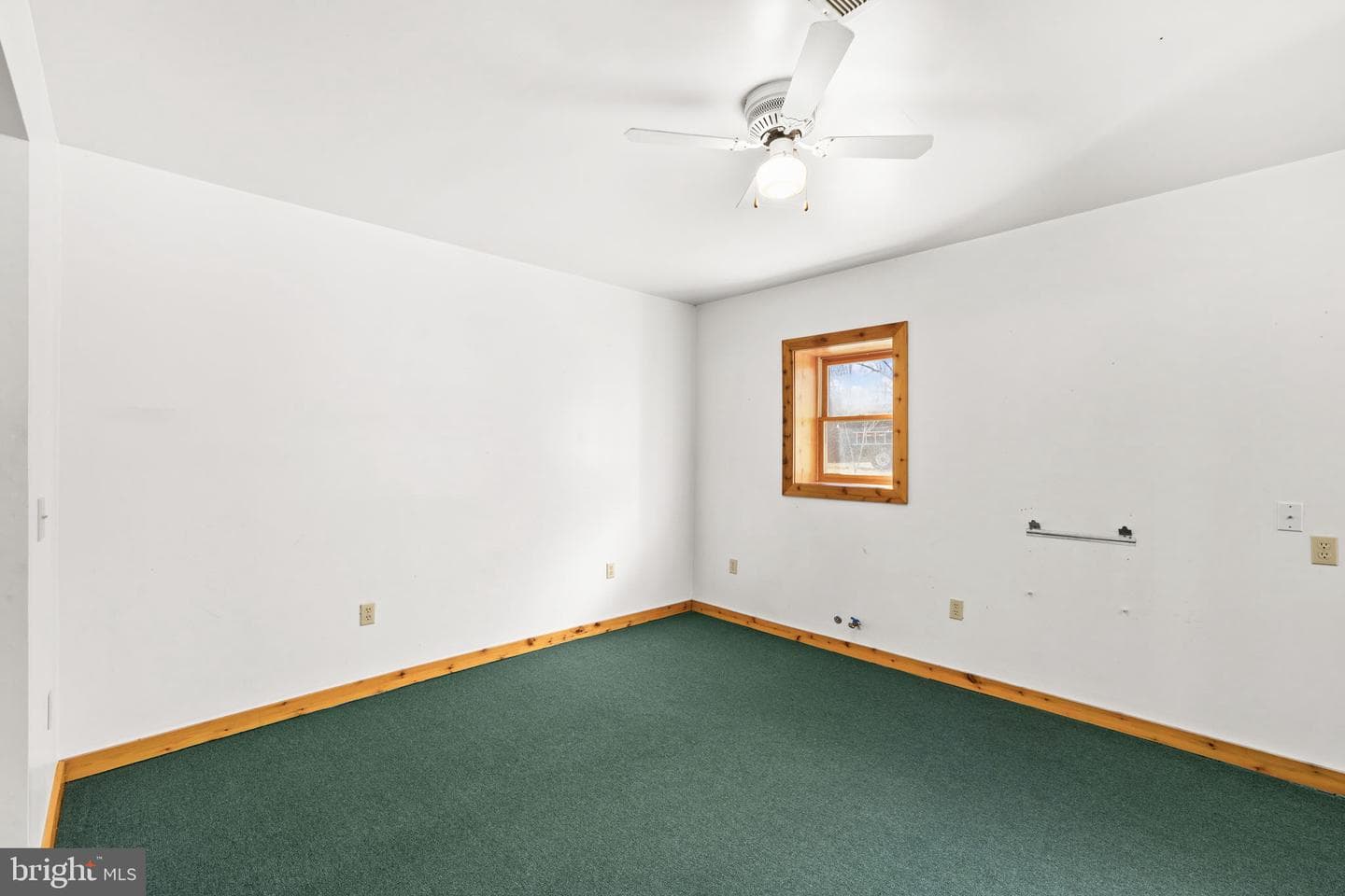 16125 Mountain Track Road photo 31