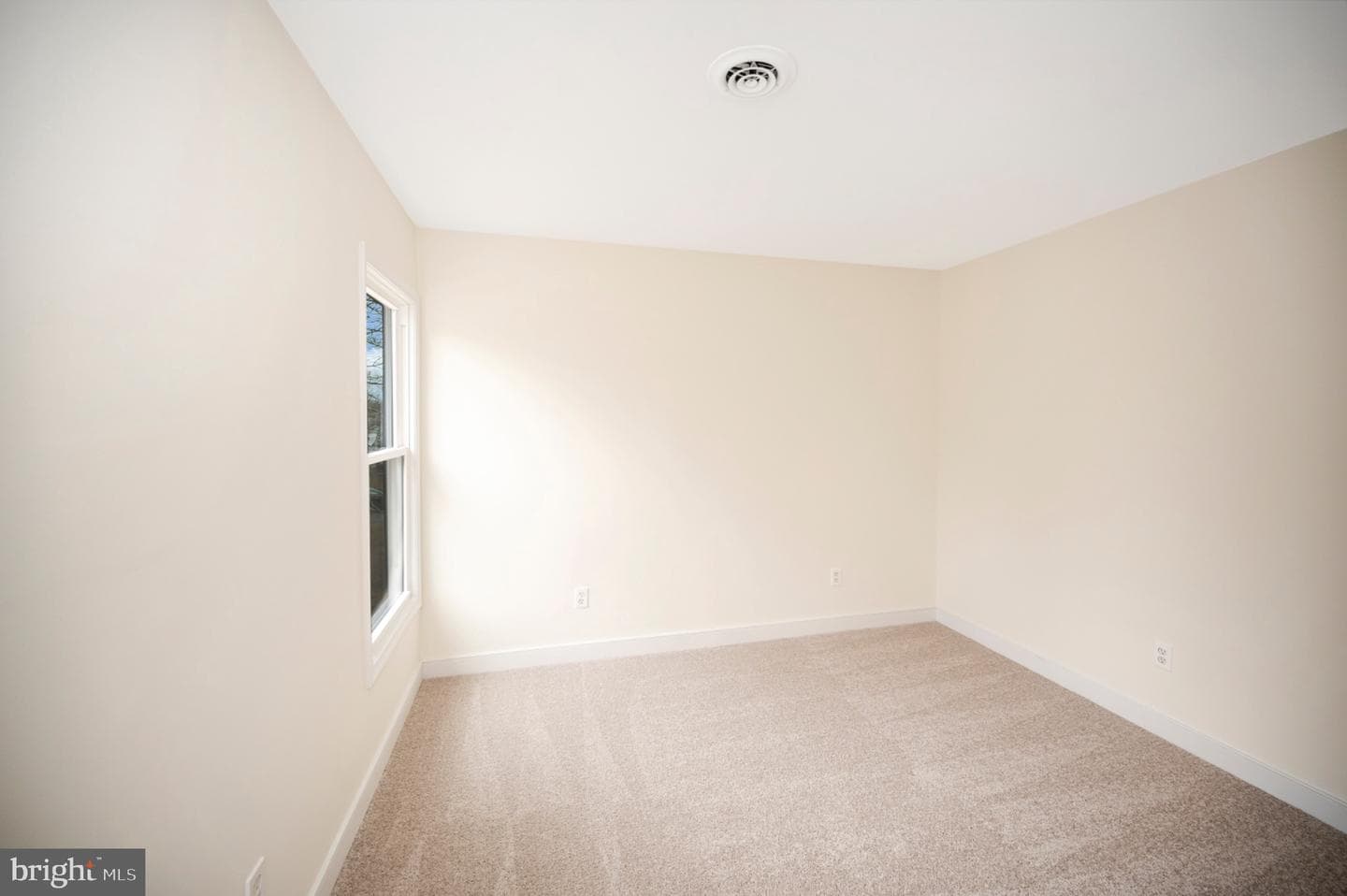 223 Spotswood Road photo 24