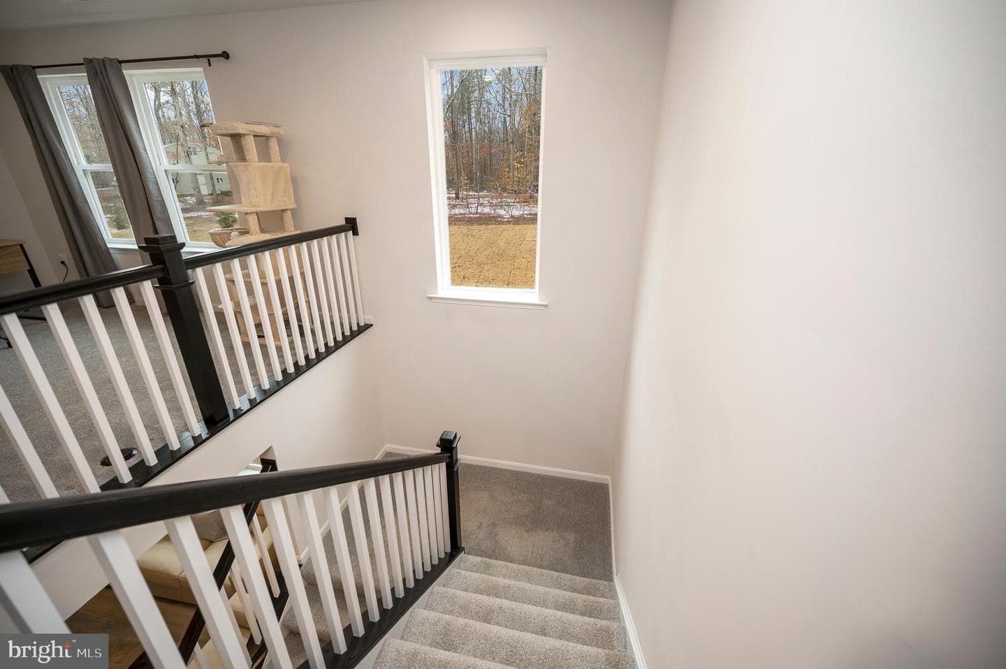 2892 White Tail Drive photo 21