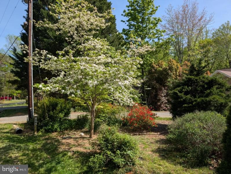 322 Birchside Circle photo 79