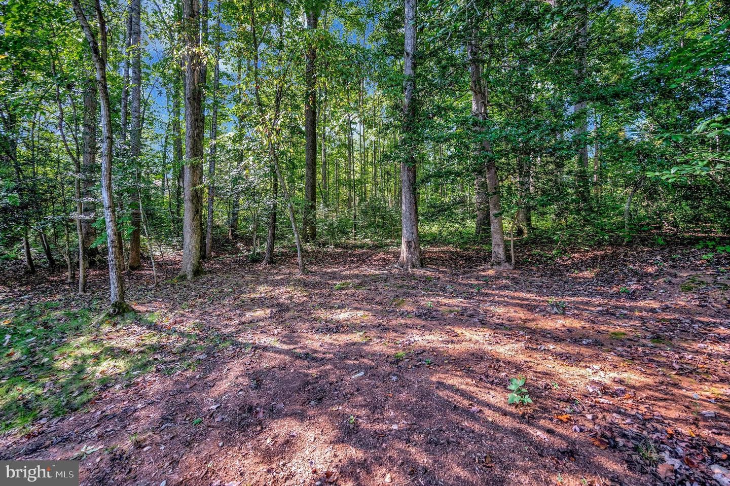216 Battlefield Road photo 42