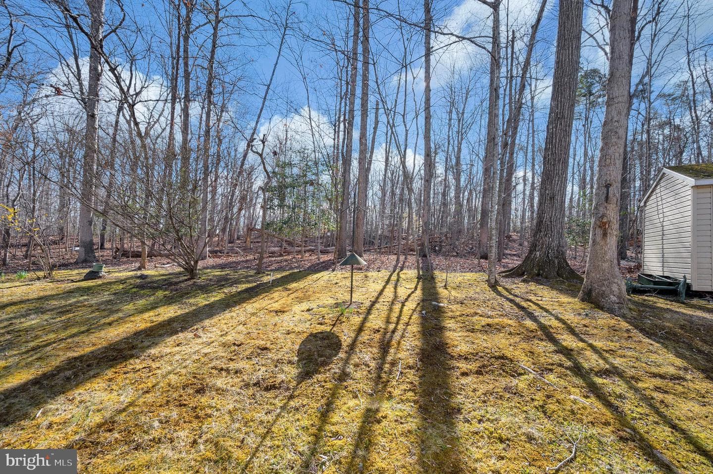 821 Eastover Parkway photo 40