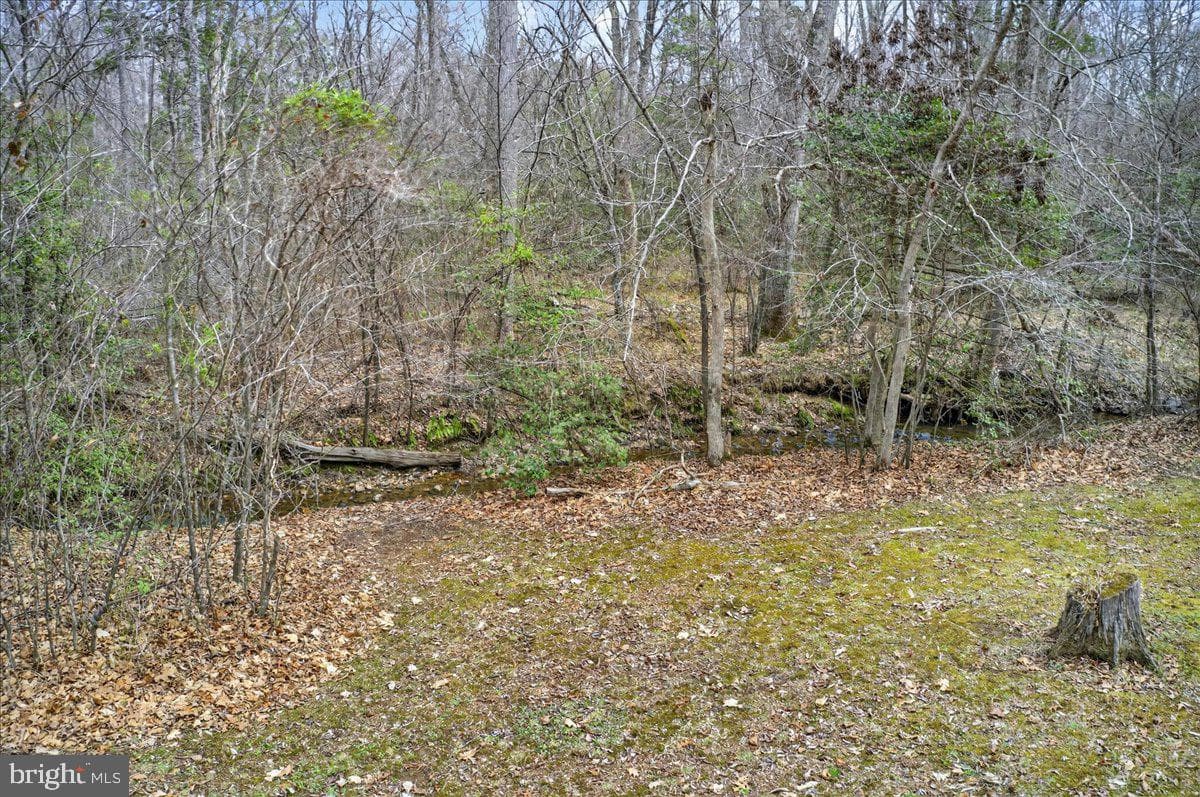 9521 Grasty Gold Mine Road photo 79