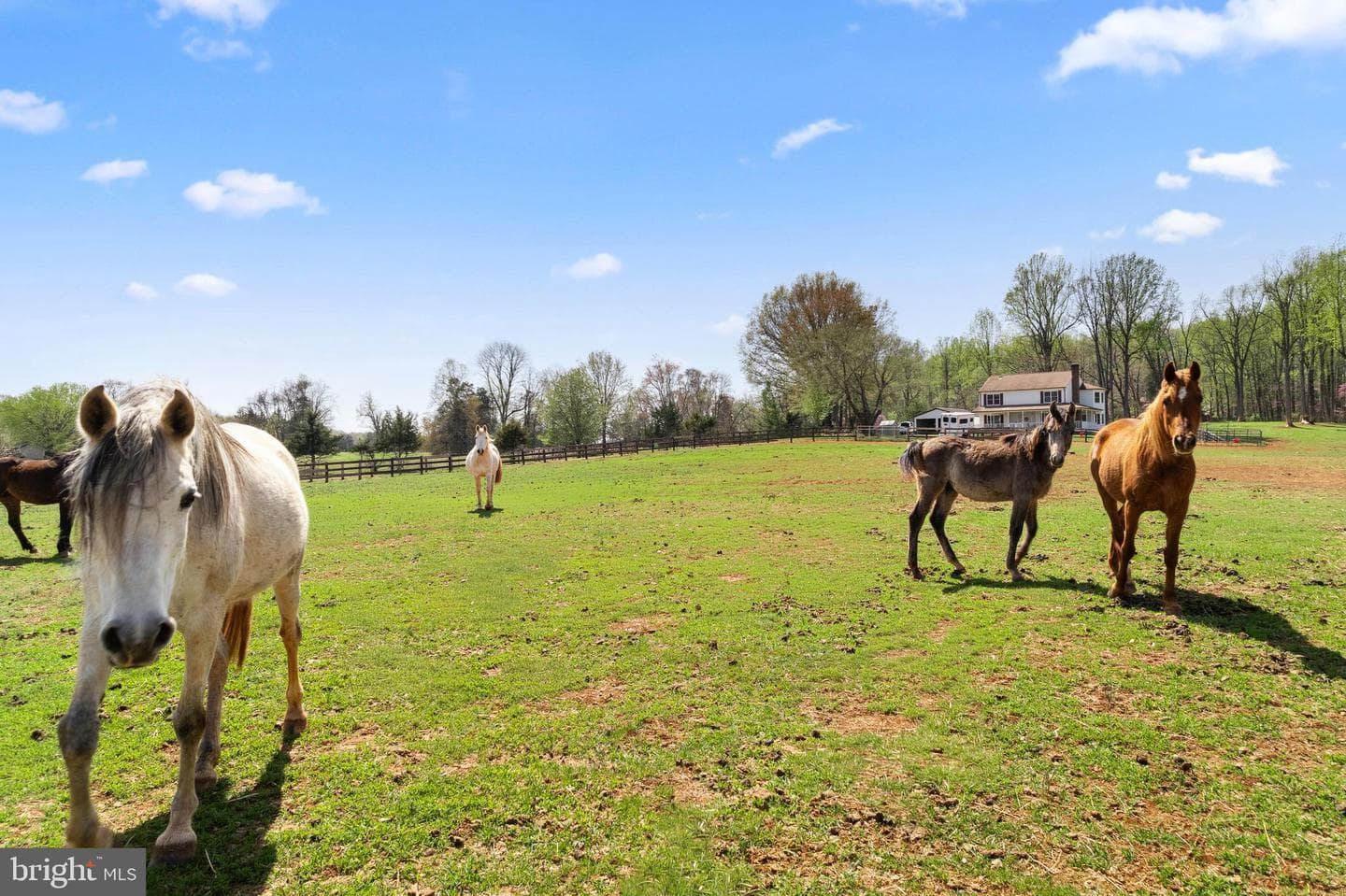 19050 Monteith Farm Road photo 46