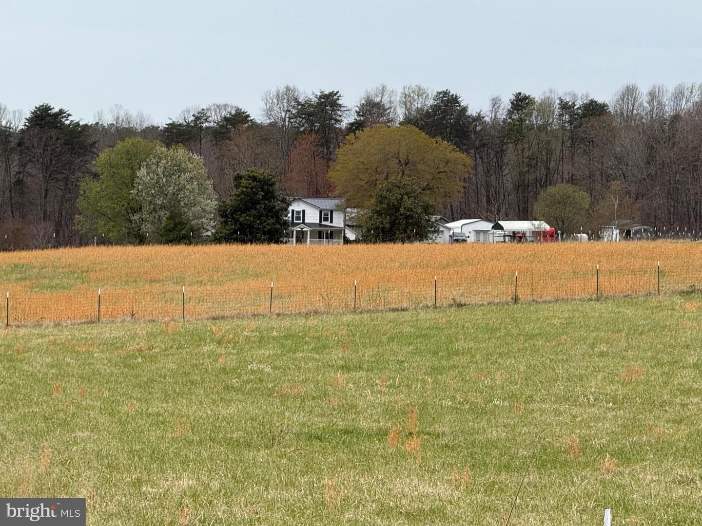 8344 Wilderness Woods Lane photo 3