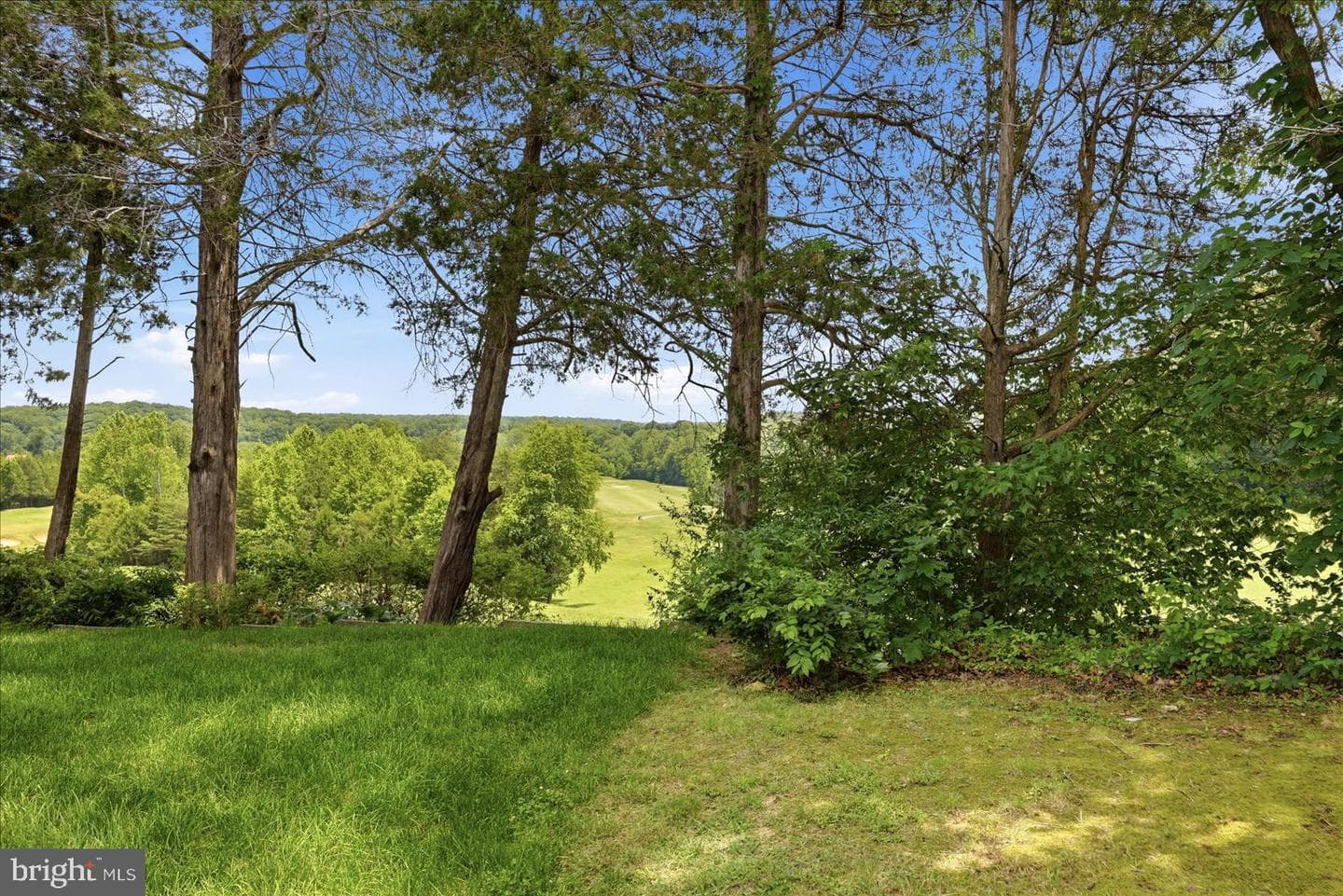 35464 Somerset Ridge Road photo 21