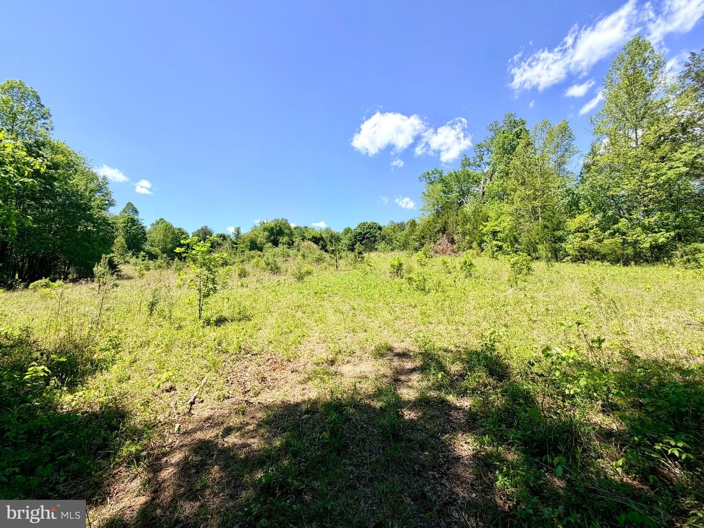 Lot 5 Autumn Ridge Lane photo 3