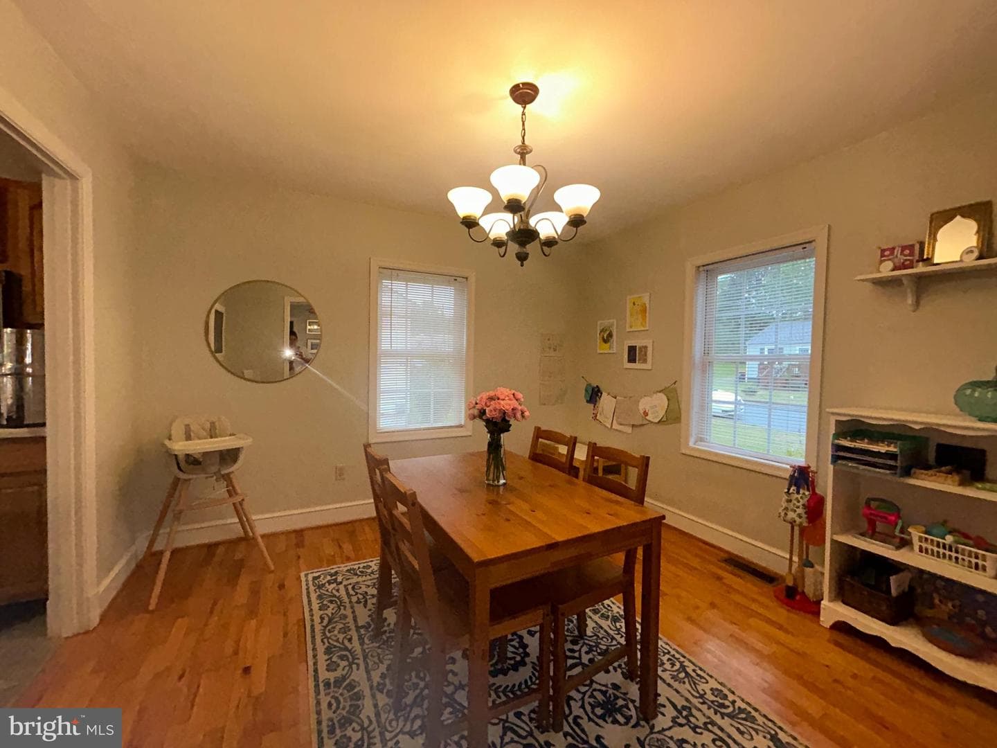 358 Williams Drive photo 8
